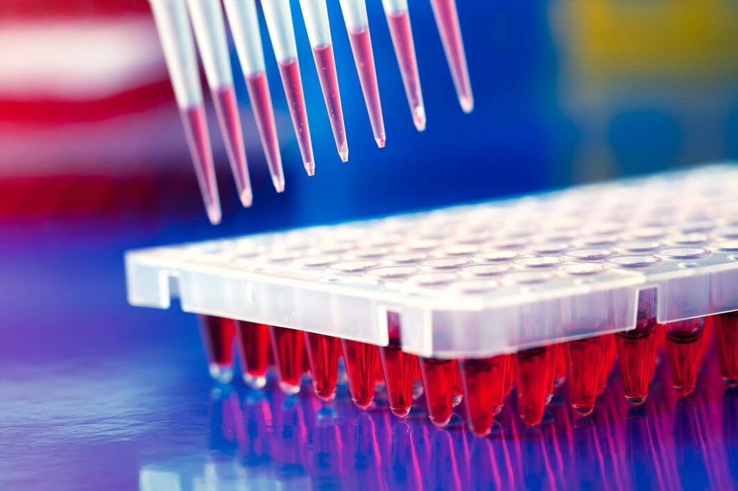 badanie immunologiczne krwi na pasożyty